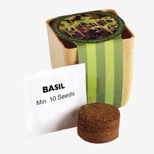 Flower Pot Set With Basil Seeds Thumbnail